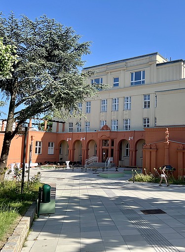 Bild von Schule Wielemansgasse