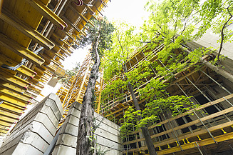 Bild von Quartier Starhemberg Kran 