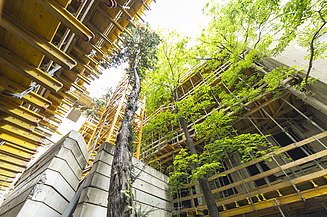 Bild von Quartier Starhemberg Kran 